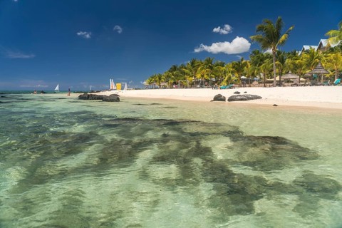 Dream beach with palm trees at the bay of Turtle Bay