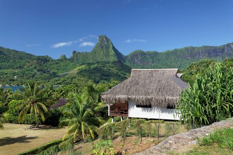 Residential house with traditional thatched roof
