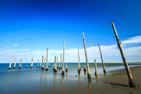 Piles of a decayed pier in the water