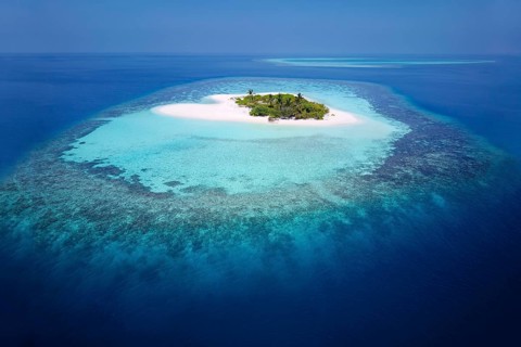 Uninhabited palm island with sandy beach