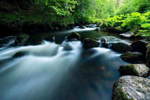 Haslach Gorge
