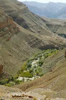 Oasis in the Dades Gorge