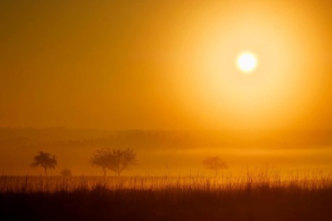 Sunrise in Jachenhausen near Riedenburg