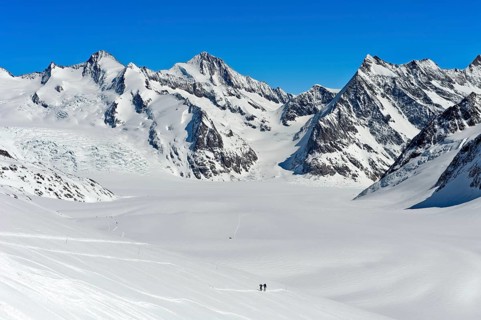 View from the Lotschenlucke over the snow-covered Grosser Aletschfirn towards Konkordiaplatz and the Bernese Alps
