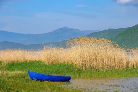 Blue fishing boat in front of reeds at the lake shore