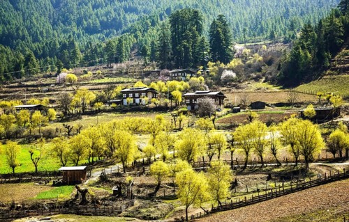 Landscape