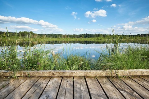 Wooden footbridge in the Regenmoor marshland and Neckar origin Schwenninger Moos
