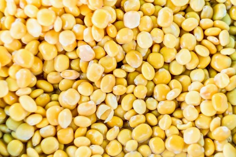 Lupin beans in salted water