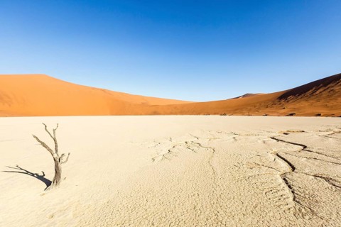 Water veins in the dry soil