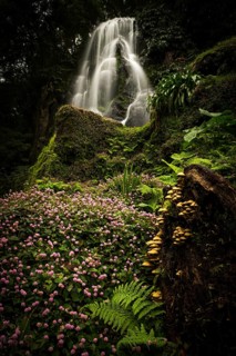 Waterfall