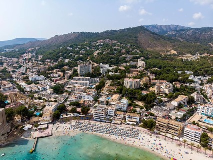 Drone image
