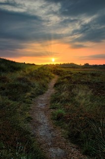 Sunrise with sunbeams over heathland