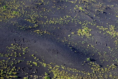 Black volcanic soil with green vegetation