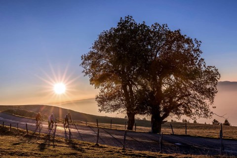 Bikers at sunset on Mont Saleve