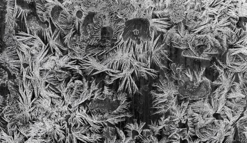Ice crystals at a window
