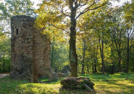 Castle ruin Wustes Schloss Osterland