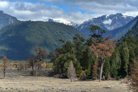 Destroyed forest by a landslide in Villa Santa Lucia