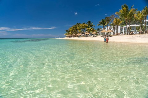 Dream beach with palm trees at the bay of Turtle Bay