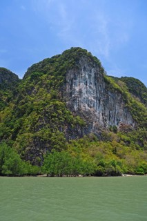 Overgrown limestone rocks in Phang Nga Bay