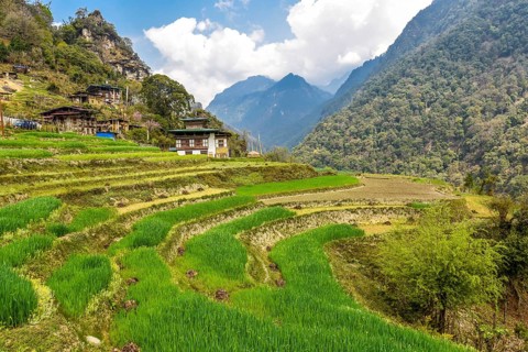 Farmhouse with rice fields in mountain landscape