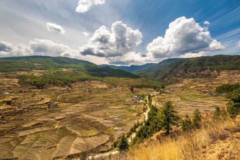 Terraced cultivation