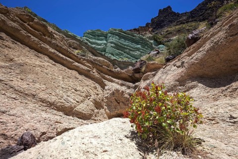 Turquoise colored rock layer Los Azulejos De Veneguera