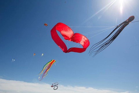 Various kites