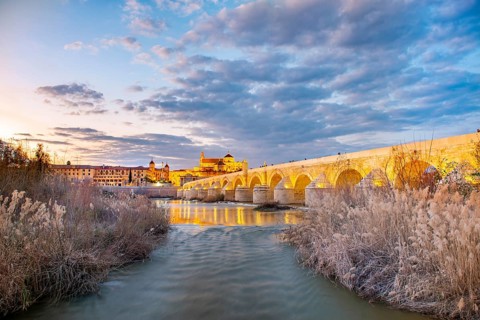 Illuminated Puente Romano