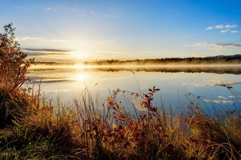 Autumn Mood