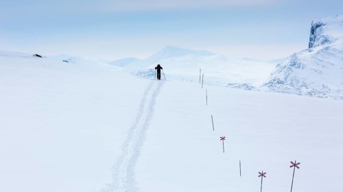 Ski tourer with pulka in the snow