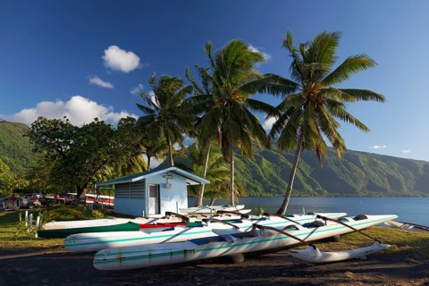 Kayaks on the beach with palm trees