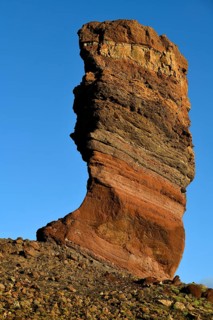 Roque Cinchado