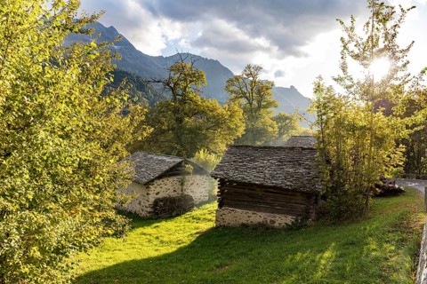 Drying houses for chestnuts in the chestnut grove