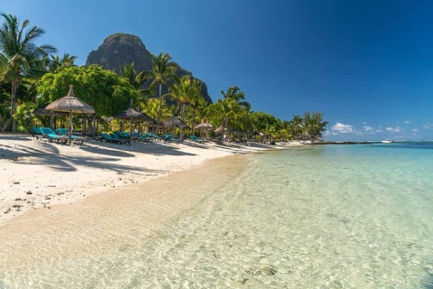 Beach with palm trees