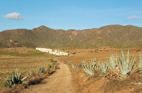 Arid landscape with century plants (Agave americana) and the abandoned farmhouse Cortijo de los Genoveses