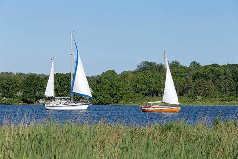 Sailing boats on the Schlei