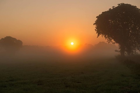 Morning fog over meadow landscape at sunrise