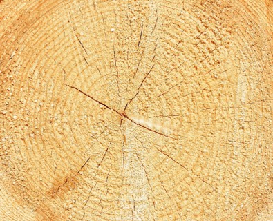Log