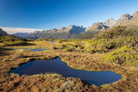 Pond at Key Summit