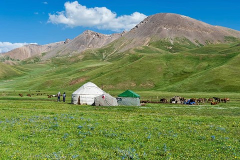 Nomad yurt camp