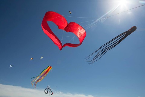 Various kites