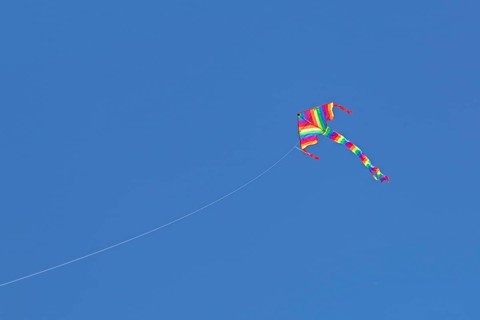 Kite in front of blue sky