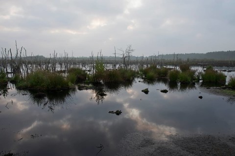 Theikenmeer nature reserve