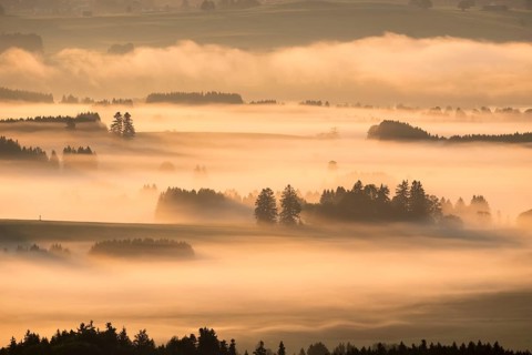 Morning fog