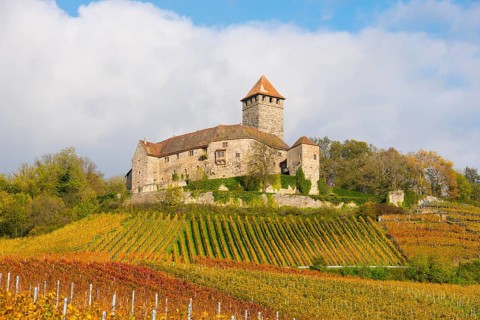 Castle Lichtenberg
