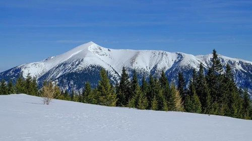 Winter landscape with Schneeberg