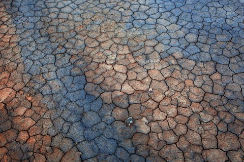 Ruptured soil in the Solfatar field at Namafjall volcano