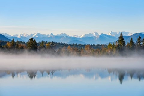 Autumn morning