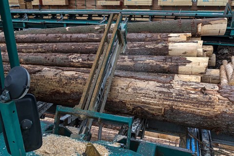 Computer controlled saw cuts a roundwood