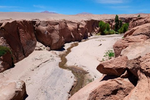 River bed with little green vegetation